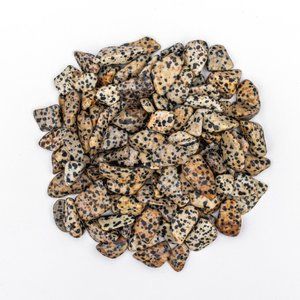 1/2 lb Tumbled Dalmatian Jasper Gemstone Crystals 90-115 Stones Bulk Gems